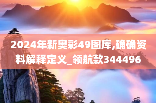 2024年新奥彩49图库,确确资料解释定义_领航款344496