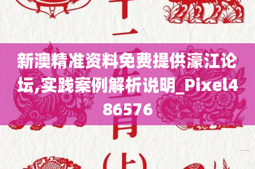 新澳精准资料免费提供濠江论坛,实践案例解析说明_Pixel486576