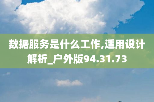 数据服务是什么工作,适用设计解析_户外版94.31.73