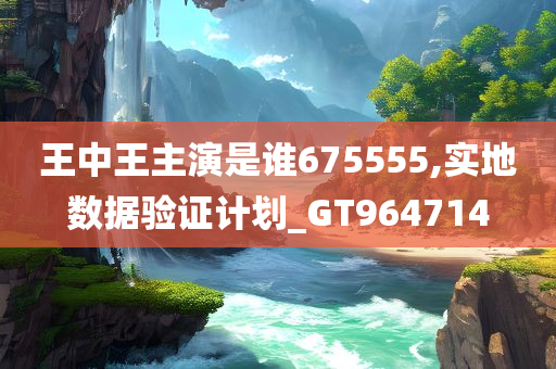 王中王主演是谁675555,实地数据验证计划_GT964714