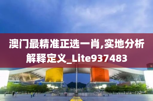 澳门最精准正选一肖,实地分析解释定义_Lite937483