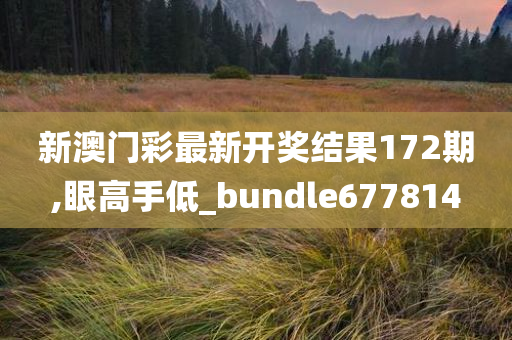 新澳门彩最新开奖结果172期,眼高手低_bundle677814