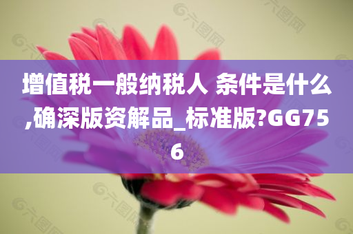 增值税一般纳税人 条件是什么,确深版资解品_标准版?GG756