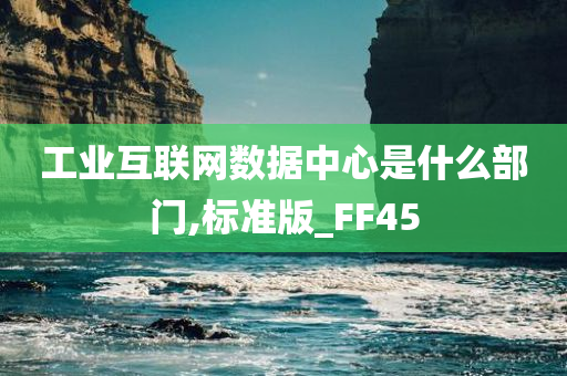 工业互联网数据中心是什么部门,标准版_FF45