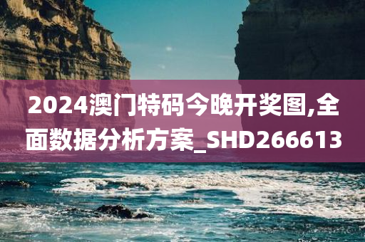 2024澳门特码今晚开奖图,全面数据分析方案_SHD266613