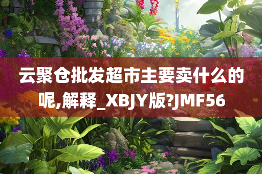 云聚仓批发超市主要卖什么的呢,解释_XBJY版?JMF56