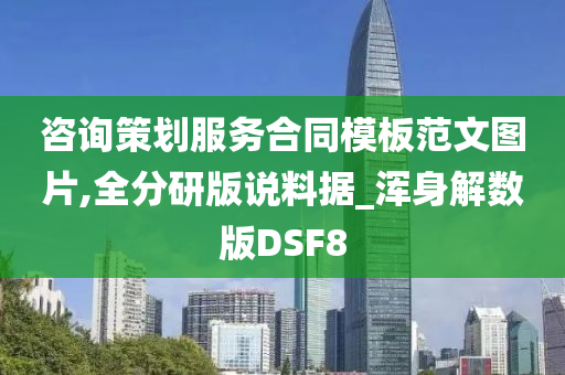 咨询策划服务合同模板范文图片,全分研版说料据_浑身解数版DSF8