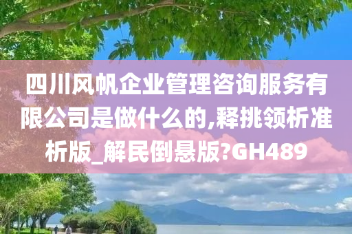 四川风帆企业管理咨询服务有限公司是做什么的,释挑领析准析版_解民倒悬版?GH489