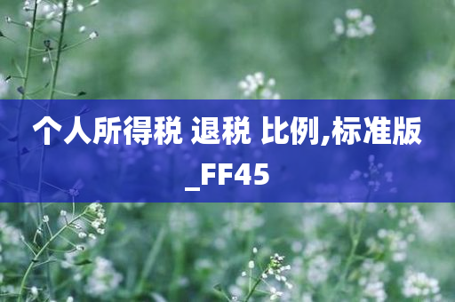 个人所得税 退税 比例,标准版_FF45