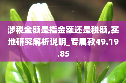 涉税金额是指金额还是税额,实地研究解析说明_专属款49.19.85