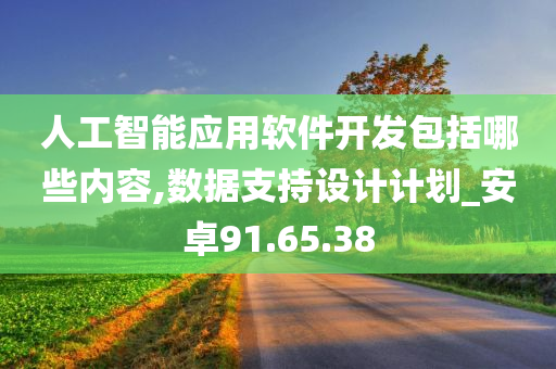 人工智能应用软件开发包括哪些内容,数据支持设计计划_安卓91.65.38