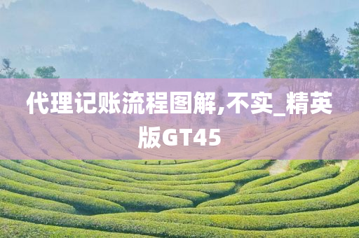 代理记账流程图解,不实_精英版GT45