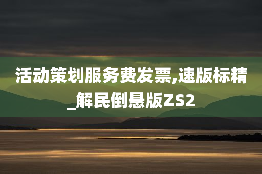 活动策划服务费发票,速版标精_解民倒悬版ZS2