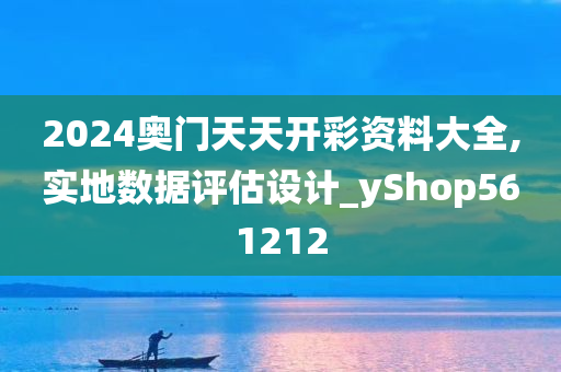 2024奥门天天开彩资料大全,实地数据评估设计_yShop561212