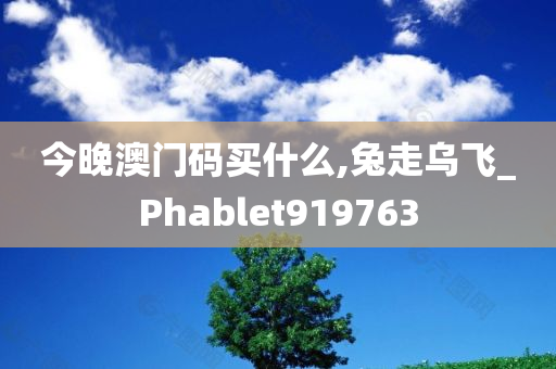 今晚澳门码买什么,兔走乌飞_Phablet919763