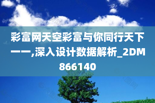 彩富网天空彩富与你同行天下一一,深入设计数据解析_2DM866140