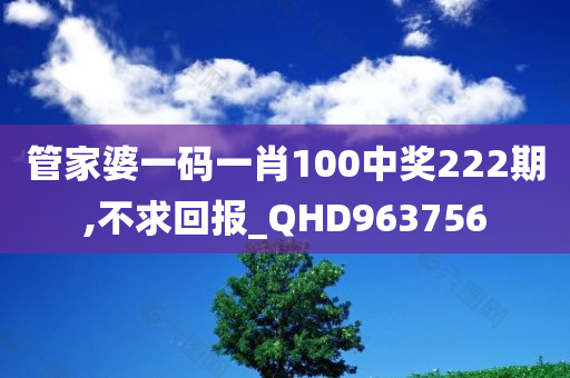 管家婆一码一肖100中奖222期,不求回报_QHD963756