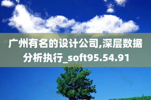 广州有名的设计公司,深层数据分析执行_soft95.54.91