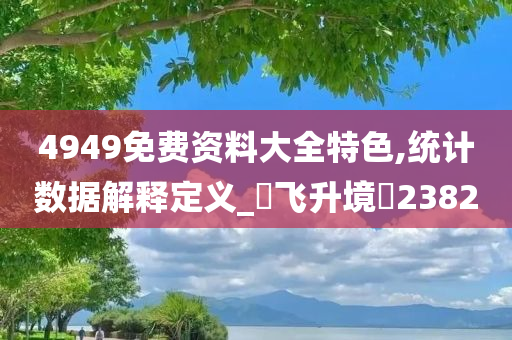 4949免费资料大全特色,统计数据解释定义_‌飞升境‌2382