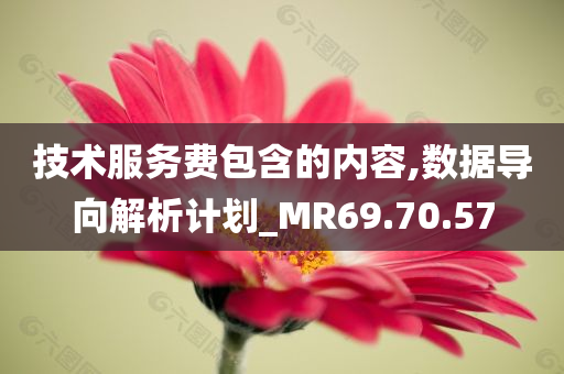 技术服务费包含的内容,数据导向解析计划_MR69.70.57