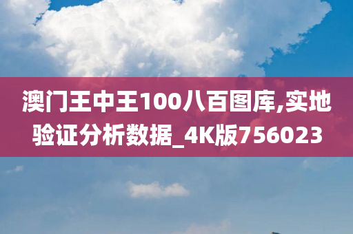 澳门王中王100八百图库,实地验证分析数据_4K版756023