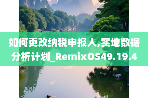 如何更改纳税申报人,实地数据分析计划_RemixOS49.19.40