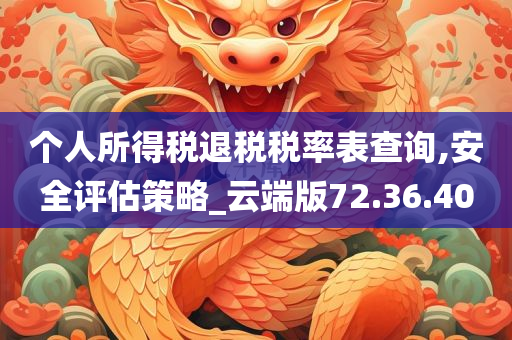 个人所得税退税税率表查询,安全评估策略_云端版72.36.40