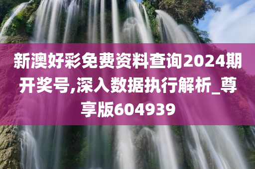 新澳好彩免费资料查询2024期开奖号,深入数据执行解析_尊享版604939