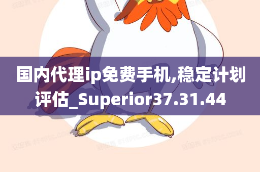 国内代理ip免费手机,稳定计划评估_Superior37.31.44