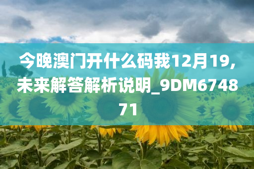 今晚澳门开什么码我12月19,未来解答解析说明_9DM674871