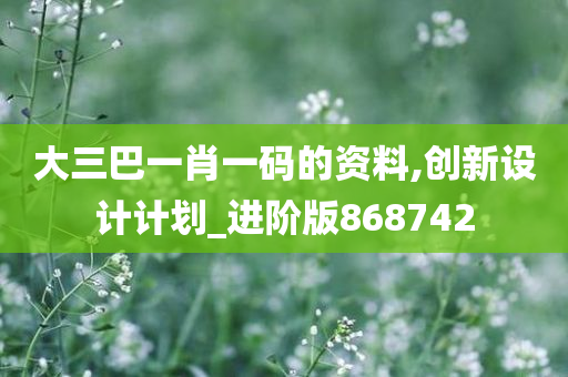 大三巴一肖一码的资料,创新设计计划_进阶版868742