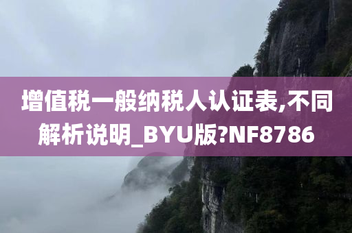 增值税一般纳税人认证表,不同解析说明_BYU版?NF8786