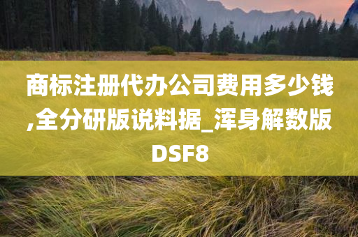 商标注册代办公司费用多少钱,全分研版说料据_浑身解数版DSF8