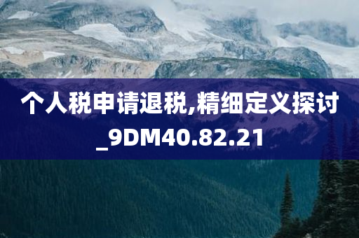 个人税申请退税,精细定义探讨_9DM40.82.21