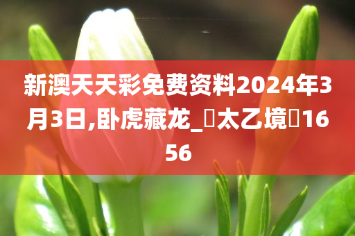 新澳天天彩免费资料2024年3月3日,卧虎藏龙_‌太乙境‌1656