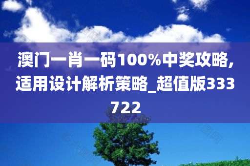 澳门一肖一码100%中奖攻略,适用设计解析策略_超值版333722