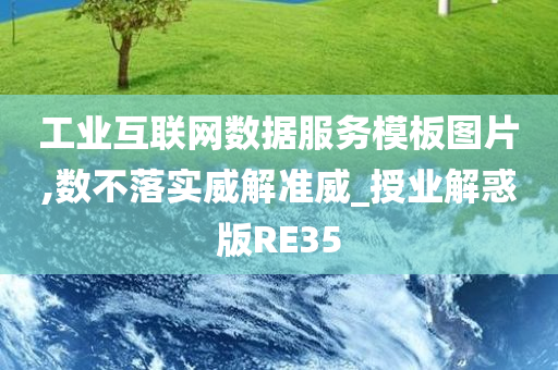 工业互联网数据服务模板图片,数不落实威解准威_授业解惑版RE35