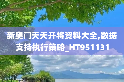 新奥门天天开将资料大全,数据支持执行策略_HT951131