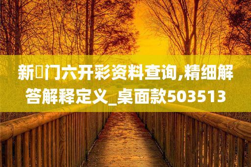 新澚门六开彩资料查询,精细解答解释定义_桌面款503513