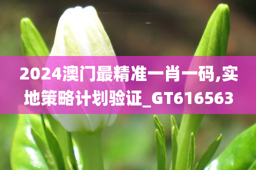 2024澳门最精准一肖一码,实地策略计划验证_GT616563