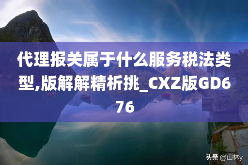 代理报关属于什么服务税法类型,版解解精析挑_CXZ版GD676