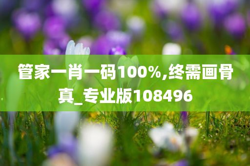 管家一肖一码100%,终需画骨真_专业版108496