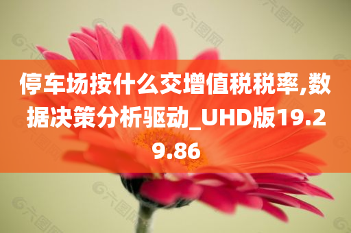 停车场按什么交增值税税率,数据决策分析驱动_UHD版19.29.86