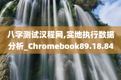 八字测试汉程网,实地执行数据分析_Chromebook89.18.84