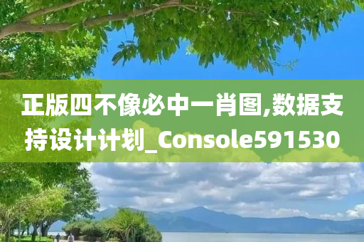 正版四不像必中一肖图,数据支持设计计划_Console591530