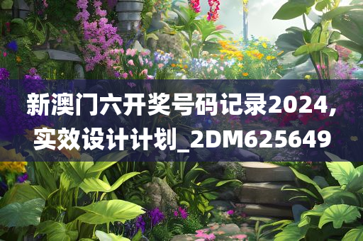 新澳门六开奖号码记录2024,实效设计计划_2DM625649