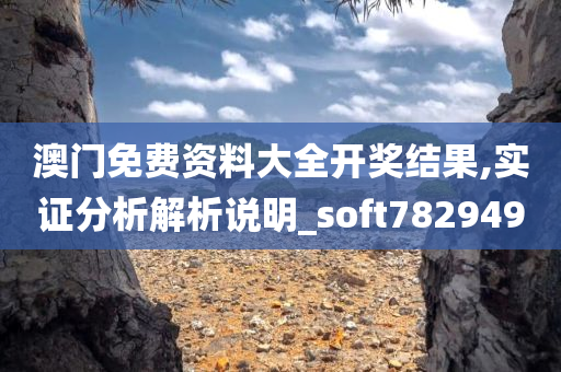 澳门免费资料大全开奖结果,实证分析解析说明_soft782949