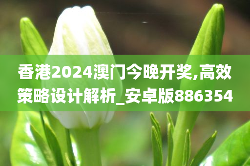 香港2024澳门今晚开奖,高效策略设计解析_安卓版886354