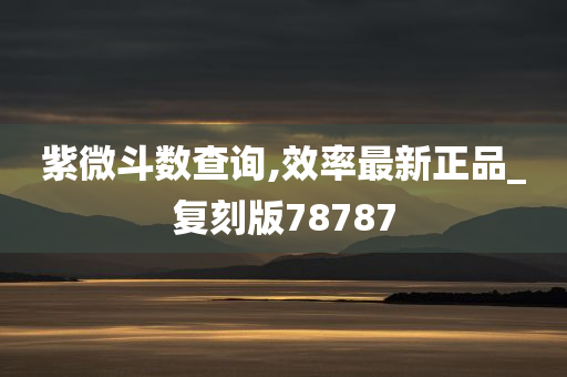 紫微斗数查询,效率最新正品_复刻版78787