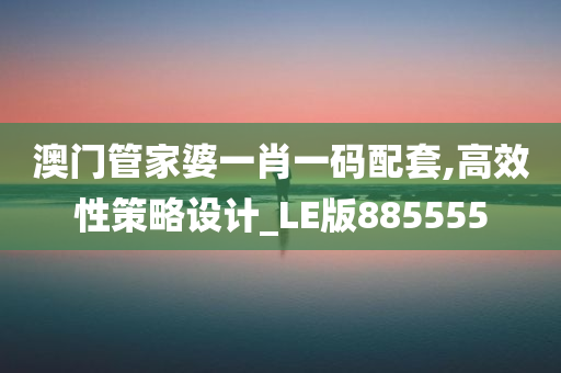 澳门管家婆一肖一码配套,高效性策略设计_LE版885555